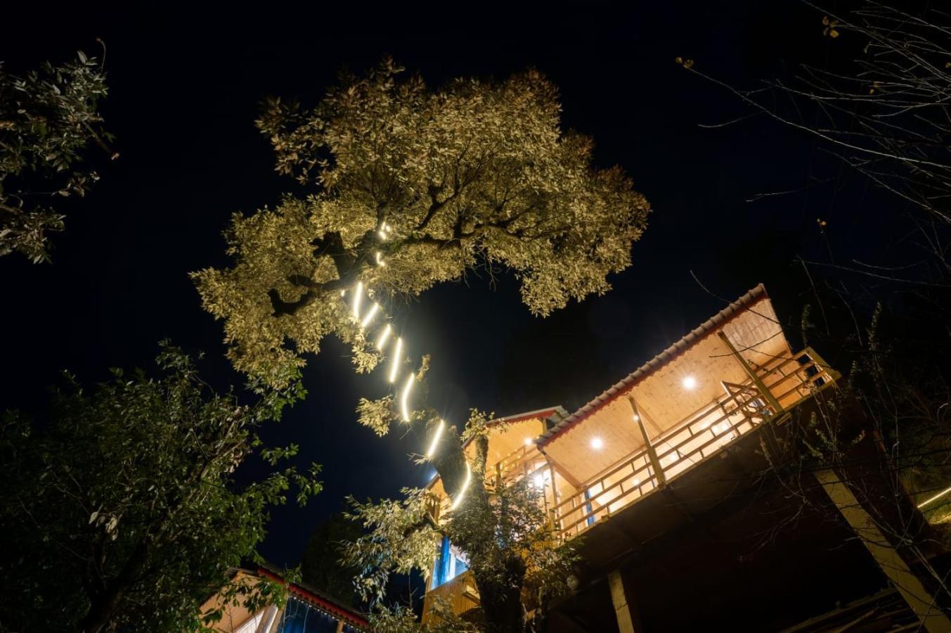 Вилла Into The Woods Treehouse Jibhi Экстерьер фото